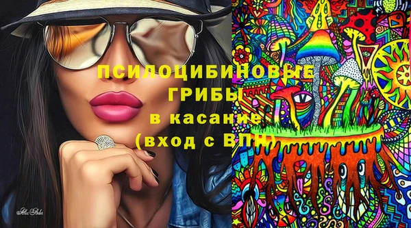 герыч Алексин