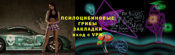 герыч Алексин