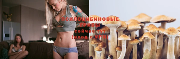 герыч Алексин