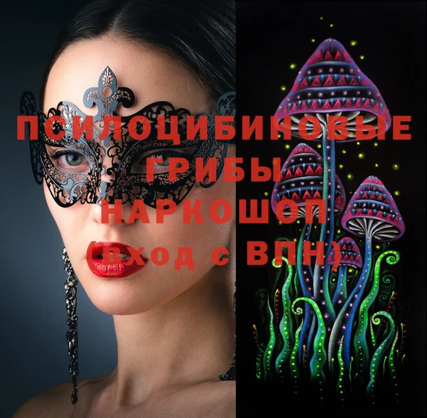 молекула духа Алексеевка