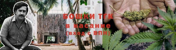 дурь Алзамай
