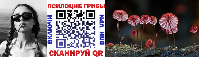 как найти наркотики Ишим Псилоцибиновые грибы мицелий